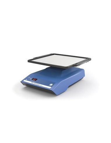 Shaker Rocker 2D basic