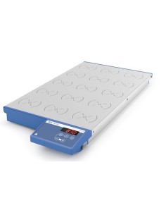 Magnetic stirrer without heating RO 15 digital 15 position