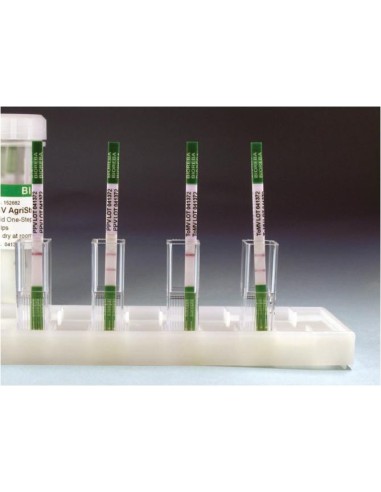 PVX AgriStrip szybki test paskowy razem z buforem do ekstrakcji