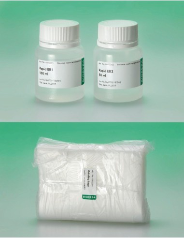 Potato DNA/ RNA rapid extraction set 192 reakcji 10 próbek (