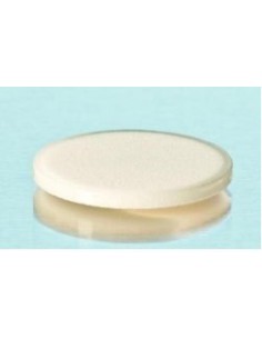 Filterplatte Duran mit Glasrand Ø 24 mm Porosität 1
