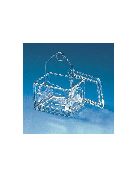 Staining trough Soda-lime glass with lid 105x85x70 mm pack 10