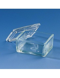 Staining trough Schiefferdecker Soda-lime glass for 10 slides