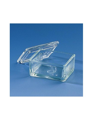 Färbetrog Typ Schiefferdecker Natron-Kalk-Glas für 10