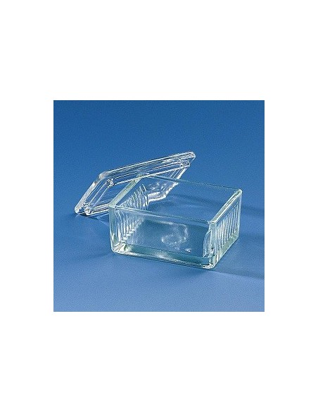 Färbetrog Typ Schiefferdecker Natron-Kalk-Glas für 10