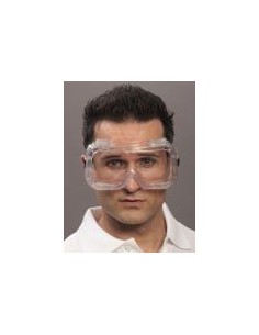 Full View Goggles CLARO clear