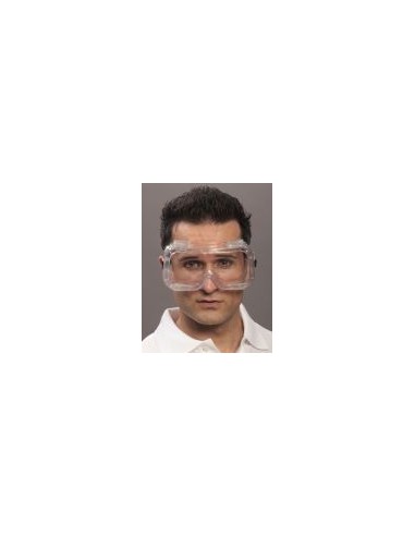 Full View Goggles CLARO clear