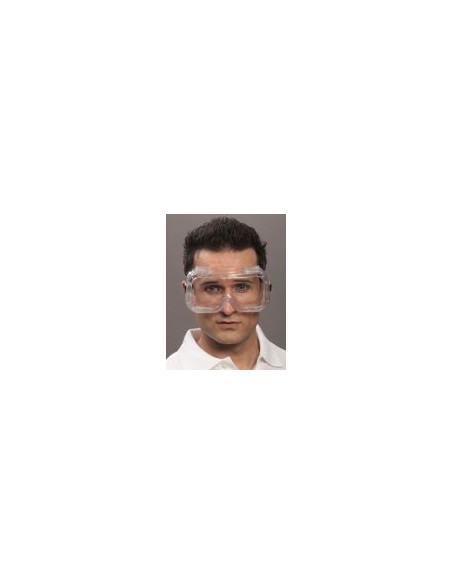 Full View Goggles CLARO clear
